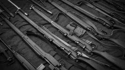 В Украине у населения около 1,2 млн единиц зарегистрированного оружия