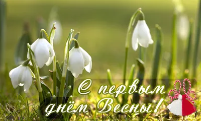 Открытки - С Первым днём весны 🥀🌻🌷 ⠀ Весна пришла, и мир ожил, Цветными  красками играя. Для грусти больше нет причин, Я с 1 марта поздравляю! ⠀  Пусть принесет тебе весна Улыбки,