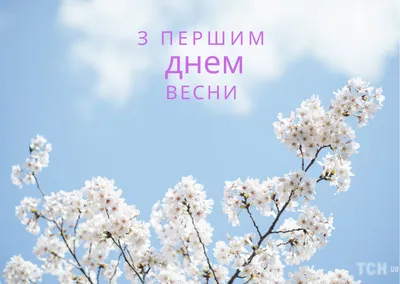 25 необычных картинок «С Первым днем весны!» – Блог Canva