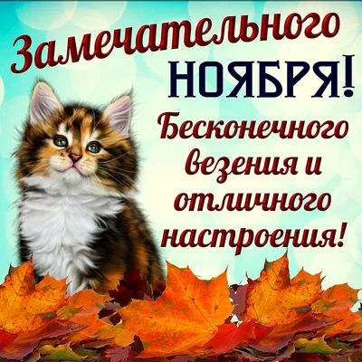 Привет ноябрь! Скачайте новую красивую картинку на 1 ноября. - Скачайте на  Davno.ru