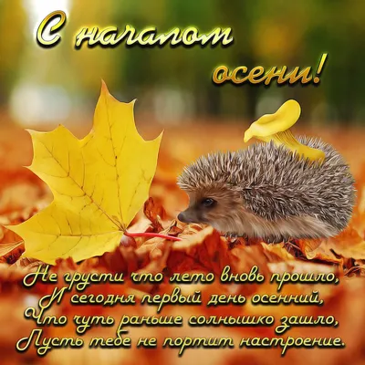 С первым днем осени - открытки и поздравления с приходом осени - Телеграф