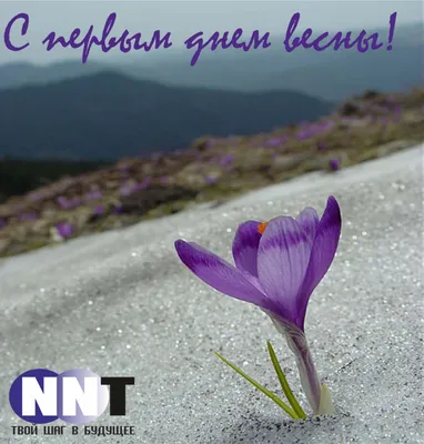 Корица - С первым днём Весны!!! | Facebook