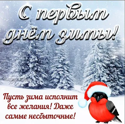 С первым днём зимы! ❄🎄 Пусть даже в холодный, зимний день на душе будет  тепло, а на лицах сияют морозные улыбки!… | Christmas bulbs, Christmas  mood, Holiday decor