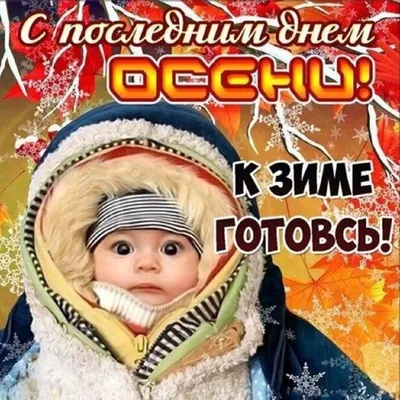 ПОЗДРАВЛЕНИЕ С ПЕРВЫМ ДНЕМ ЗИМЫ. СЧАСТЛИВОГО ДЕКАБРЯ! | Открытки, Зима,  Веселые картинки