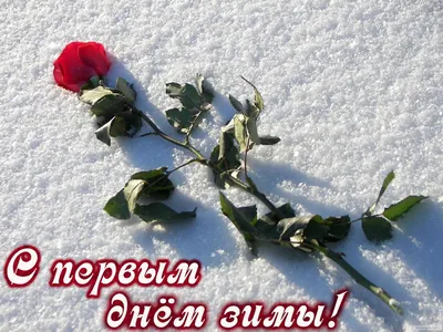 Новая красивая открытка с первым днем зимы - Скачайте на Davno.ru