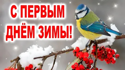 С первым днем зимы: красивые, прикольные и добрые картинки к 1 декабря - МК  Новосибирск