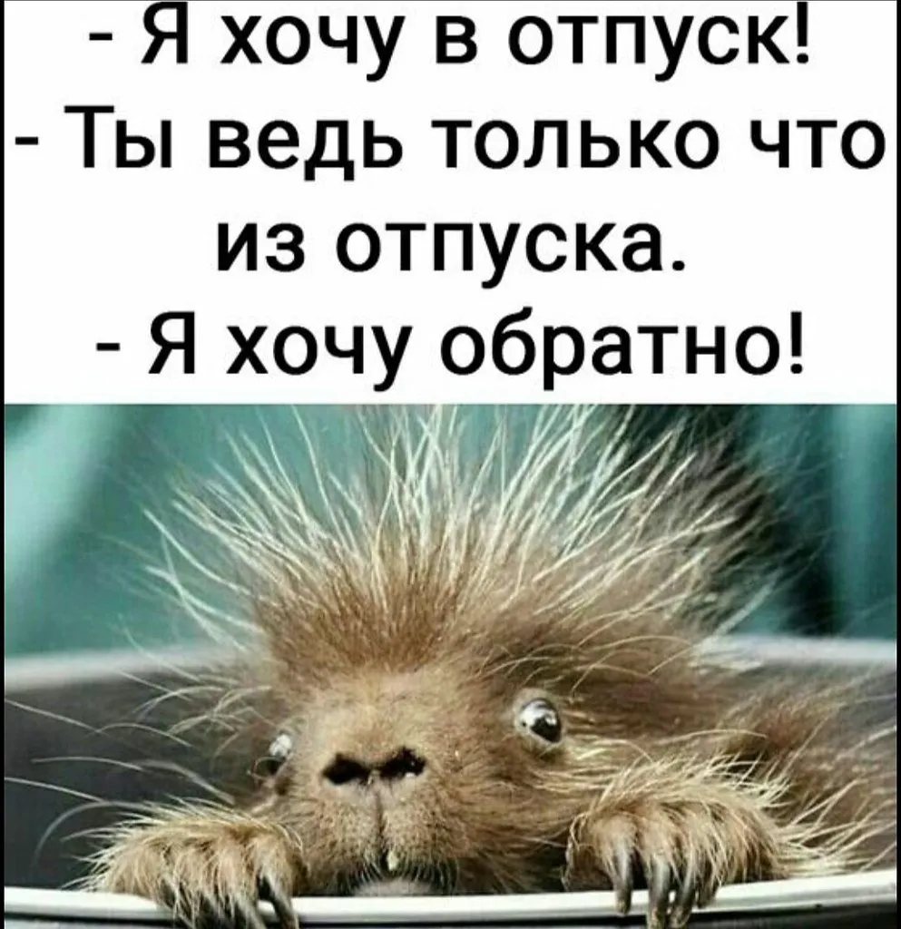 Отпуск закончился: пять советов, как вернуться к рабочим будням | Сайт  психологов b17.ru | Дзен