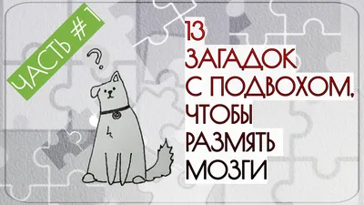 202 загадки с подвохом с ответами смешные для детей и взрослых