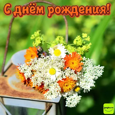 Картинки с полевыми цветами с днем рождения фотографии