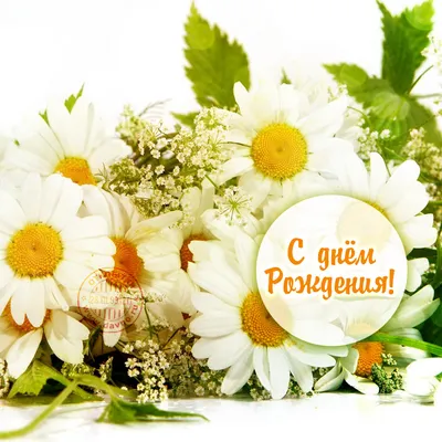 Открытка с днем рождения женщине с полевыми цветами (скачать бесплатно)