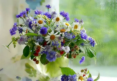 Красивый букет полевых цветов для женщины с днем рождения - фото и картинки  abrakadabra.fun