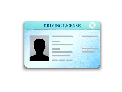 Получение водительских прав: что нужно знать об экзамене