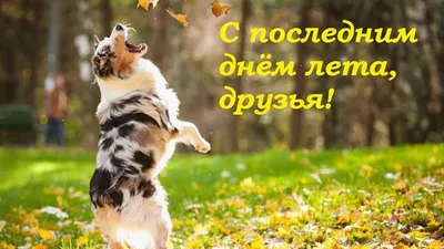 Доброе утро ☀️ С последним днем лета 🌼🌼🌼 - YouTube