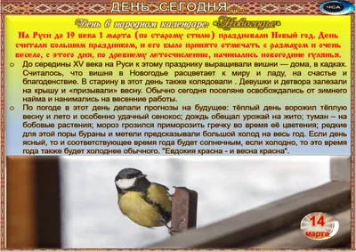 14 марта - Традиции, приметы, обычаи и ритуалы дня. Все праздники дня во  всех календарях | Сергей Чарковский Все праздники | Дзен