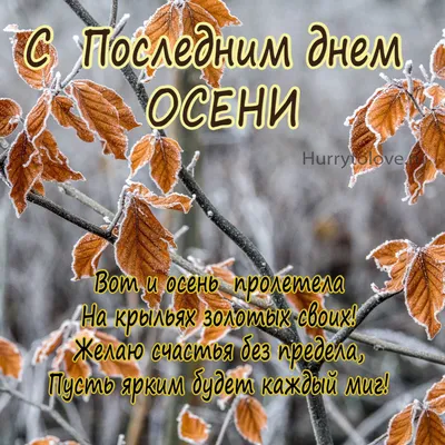 🎈 30 ноября С Последним Днем Осени. Красивое музыкальное поздравление  Прощай, Осень! - YouTube