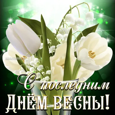 Доброе утро, с последним днем весны вас... А завтра уже  лето!!!🍒🌹🌺🌸🐝🐞💐💮🌼 | ВКонтакте