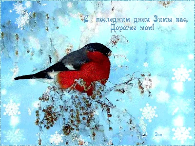 28 февраля последний день зимы - открытки, картинки, поздравления - фото
