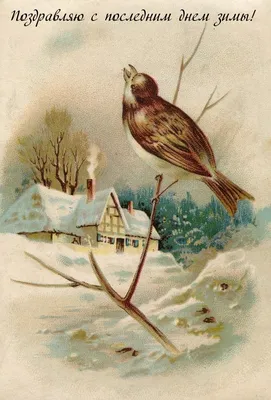 Изящные открытки и поздравления с Последним днем зимы 28 февраля