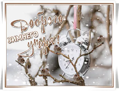 Доброе утро,друзья!⛅ ☀ ⛅ С последним днем января!❄ ❄ Январь на исходе..  Завьюжит февраль.... | ВКонтакте