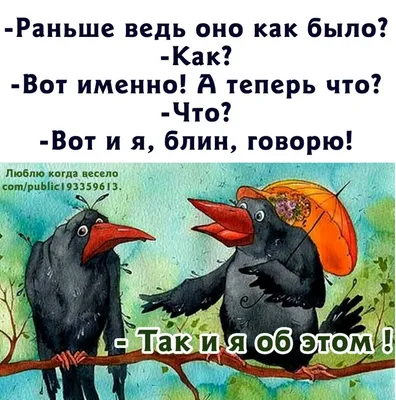 Прикольные поздравления – смотреть онлайн все 70 видео от Прикольные  поздравления в хорошем качестве на RUTUBE