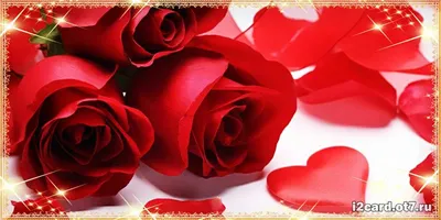 Купить Открытки с сердечком на День Святого Валентина, открытка с  пожеланиями любви, свадьба, день рождения, день матери, события,  праздничные открытки, подарки | Joom