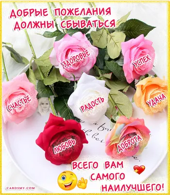 Купить оптом С наилучшими пожеланиями в День рождения! с доставкой в Россию  Беларусь | Стильная открытка