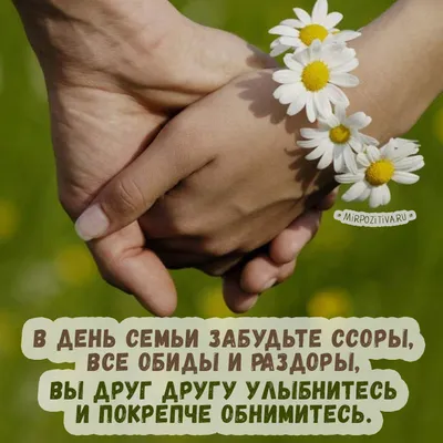 8 июля - День семьи, любви и верности: красивые и прикольные открытки с  праздником - МК Новосибирск
