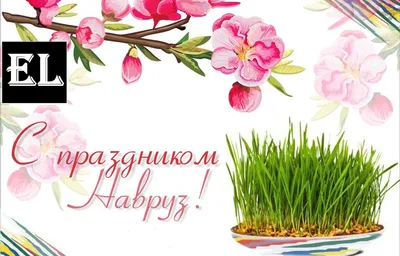 Euro Gorumet - Поздравляем с праздником НАВРУЗ!! Желаем всем мирного неба и  крепкого здоровья! | Facebook