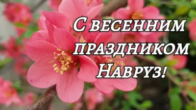 Приглашаем буинцев на праздник НАВРУЗ! | 18.03.2021 | Буинск - БезФормата