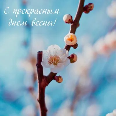 Поздравляем с самым прекрасным Днём Весны! | Провидение