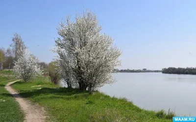 Поздравляем Вас с началом весны и Международным женским днем!