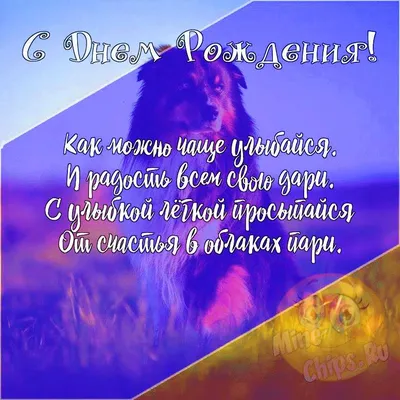 Прикольные открытки \"С Днем Рождения!\" для мужчин (190 шт.)