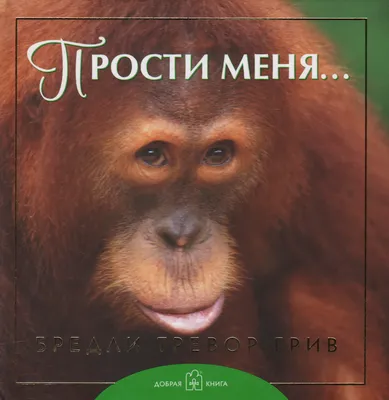 Книга \"Прости меня…\" Грив Б Т - купить книгу в интернет-магазине «Москва»  ISBN: 978-5-98124-559-6, 574194