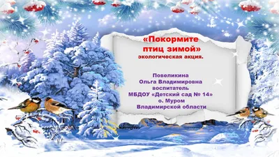 Конспект занятия по рисованию «Покормите птиц зимой» для детей 2–3 лет (10  фото). Воспитателям детских садов, школьным учителям и педагогам - Маам.ру