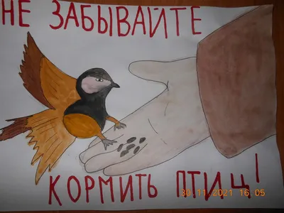 Раскраска птицы зимой - 78 фото