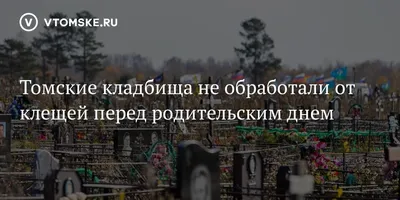 Перед родительским днём в Улан-Удэ убрали старейшее кладбище - новости  Бурятии и Улан-Удэ
