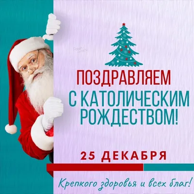 Поздравляем с католическим Рождеством Христовым! - Новости | Skaala Украина  — деревянные окна и двери