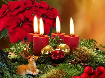 Сочельник 24 декабря у католиков: как отмечают канун Рождества | OBOZ.UA