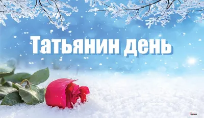 Поздравление с Татьяниным днем | Авангард-Лифт | г.Новосибирск