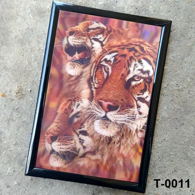 Живые обои тигры на телефон - 66 фото