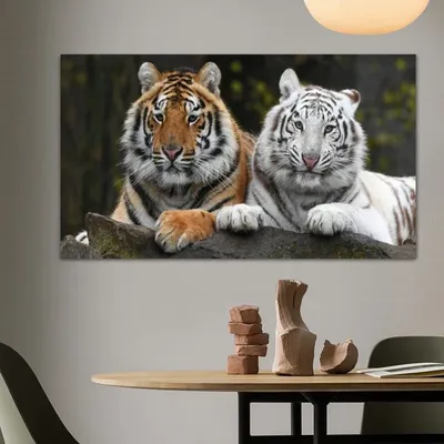 Картинки с тигром на телефон на заставку, красивые обои