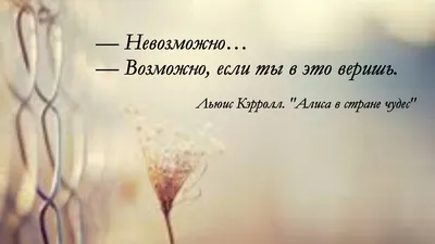 Прочитал, осознал, изменился. Делюсь любимыми цитатами из моей копилки |  Лучшая версия себя | Дзен