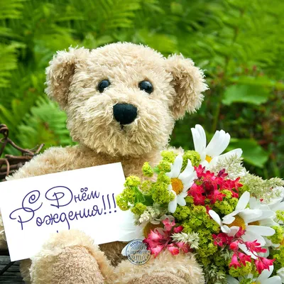 игрушка плюшевый мишка - купить цветы в Ялте