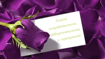 Коробочка с цветами и шоколадными буквами \"Мамуле\" №2 доставка в  Красноярске | ФлоРум24