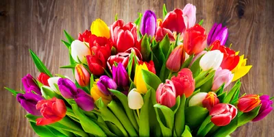 Выбираем цветы на 8 марта