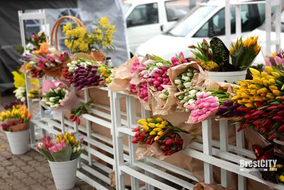 Очередей нет, тюльпаны за 100 рублей и цыгане, торгующие цветами – 8 марта  2021 года в Твери - KP.RU