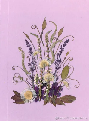Цветы акварель: открытки на день свадьбы - инстапик | Свадебные поздравления,  Свадебные открытки, Открытки