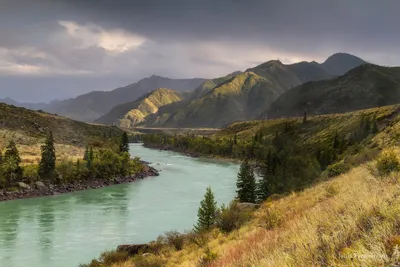 Друзья, самое время забыть о... - Зона отдыха Riverside | Facebook