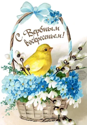 Старинная почтовая открытка с вербой цветами и цыплёнком. Открытка 12876. |  Открытки, Пасхальная открытка, Пасхальные открытки