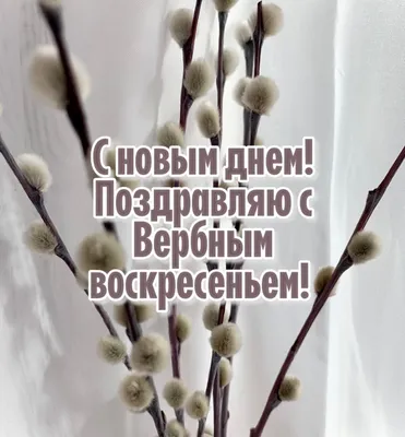 С Вербным воскресеньем! Лучшие очень красивые открытки и добрые слова в  праздник 9 апреля для родных и друзей | Курьер.Среда | Дзен